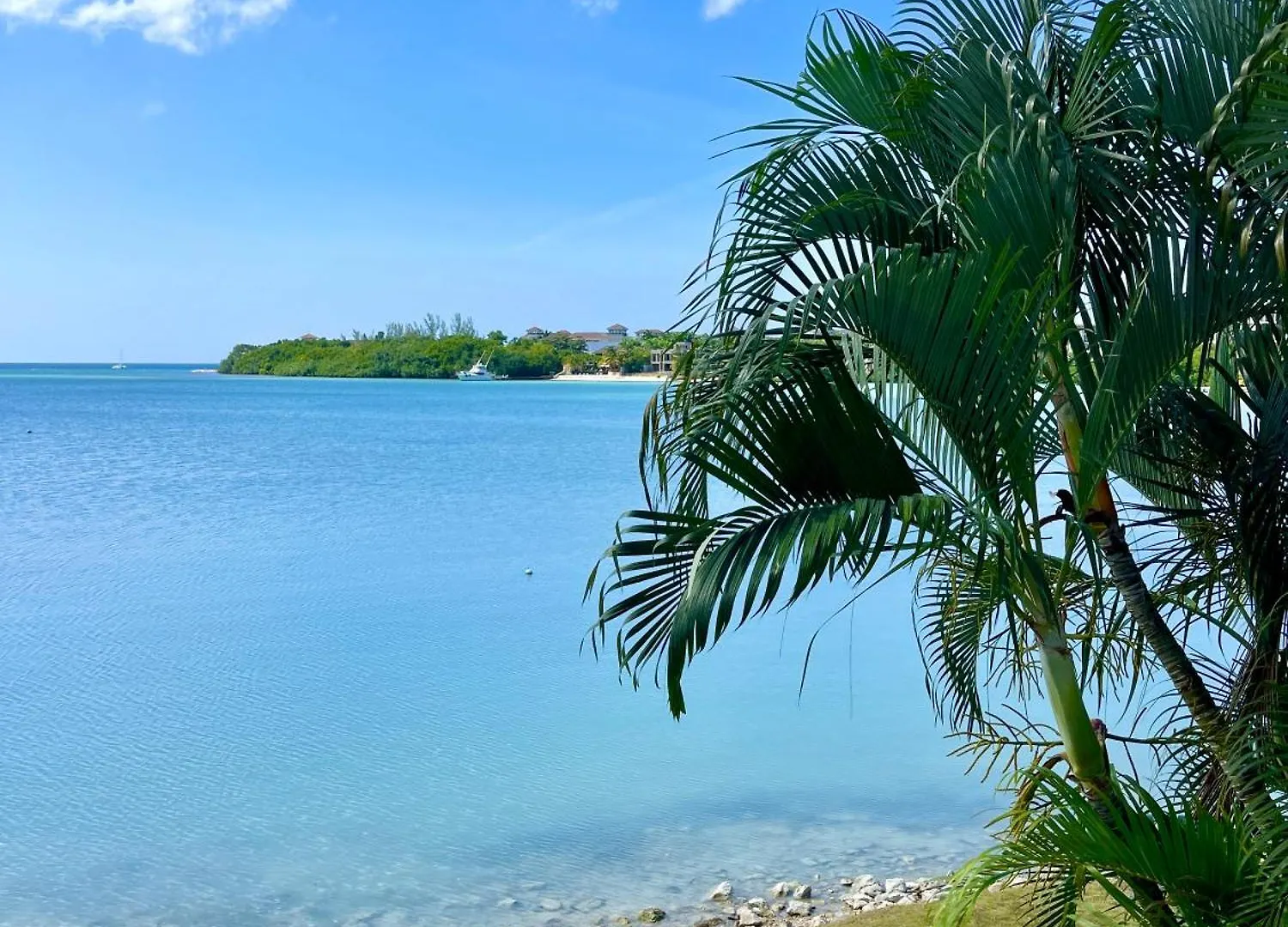 Luxury Apartments And Rooms,The Lagoons Montego Bay